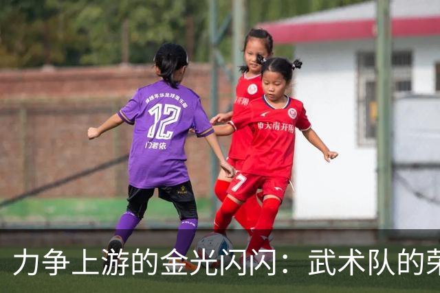 力争上游的金光闪闪：武术队的荣耀时刻